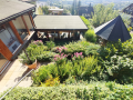 Haus-Bilder