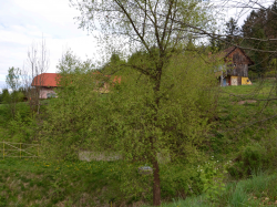 Haus-Bilder