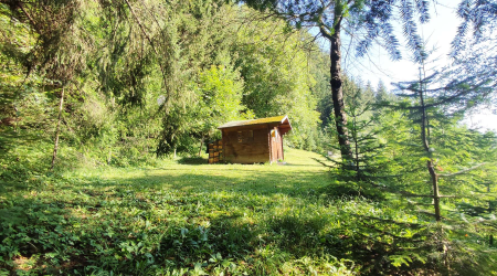 Haus-Bilder