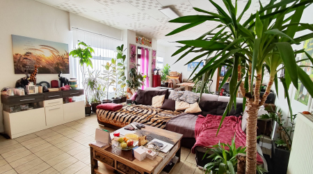 Haus-Bilder