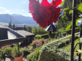 Haus-Bilder