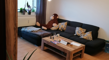Haus-Bilder