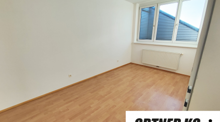 Haus-Bilder