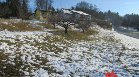 Haus-Bilder