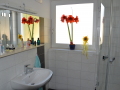 Haus-Bilder