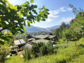 Haus-Bilder