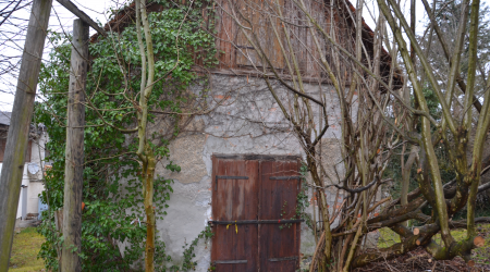 Haus-Bilder