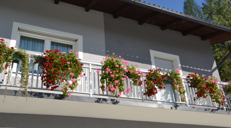 Haus-Bilder