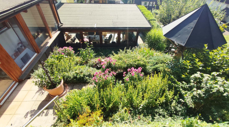 Haus-Bilder