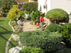 Haus-Bilder