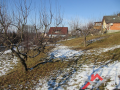 Haus-Bilder