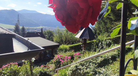 Haus-Bilder