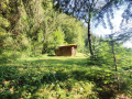 Haus-Bilder