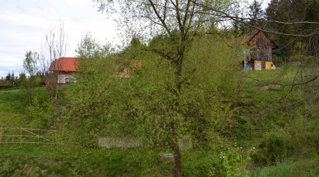 Haus-Bilder