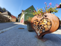 Haus-Bilder