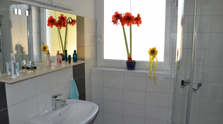 Haus-Bilder